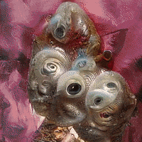 reinbijlsma trippy digital art surreal faces GIF