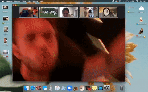 Music Video Dogs GIF by Zedd