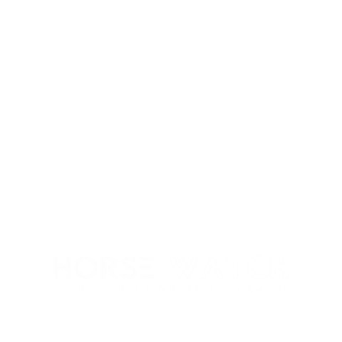 horsewatch horse horsewatch watch my horse keep an eye on your horse Sticker