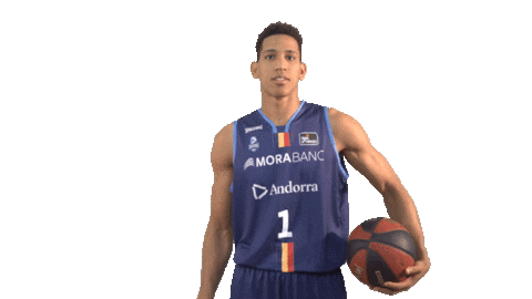 Liga Endesa Basketball Sticker by ACB