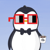 Good Morning GIF by Pudgy Penguins