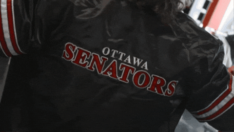 Ottawa Senators GIF by StittsvilleOnPatrol