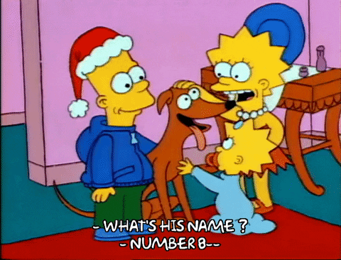 Season 1 GIF by The Simpsons