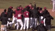 LafayetteLeopards celebration baseball win walk GIF