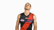 essendonfc dons bombers essendon essendon fc GIF