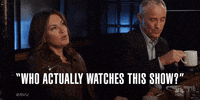 Season 17 Nbc GIF by Law & Order
