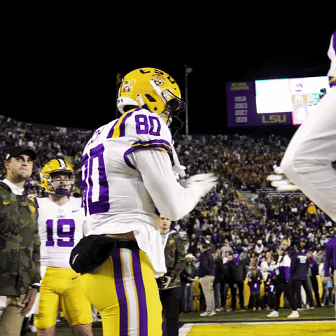 Death Valley Football GIF by LSU Tigers