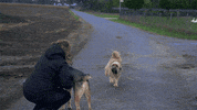 Läuft GIF by Maschinenring