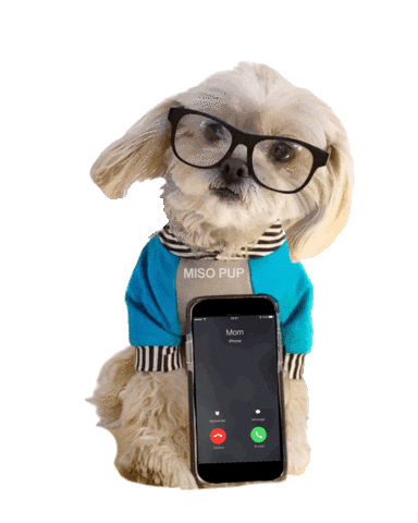dog phone Sticker by MISO PUP