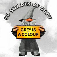 Black And White Wizard GIF