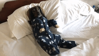 Cute Doggo Gets Tucked Into Bed After Long Day