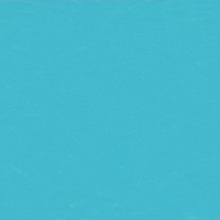 Hospital GIF by SOS Animal