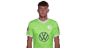 Champions League Football Sticker by VfL Wolfsburg