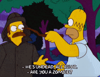homer simpson GIF
