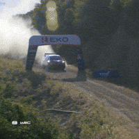 Sport Rallying GIF by FIA World Rally Championship