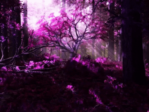 giphygifmaker GIF