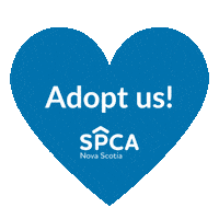 Cats Adopt Sticker by Nova Scotia SPCA