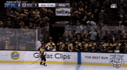 2019 stanley cup finals GIF by NHL