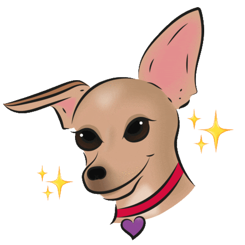 sofiaromanazzo giphyupload charlie chihuahua carlottapagnotta Sticker