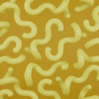 Philbertopia art animation 3d wave GIF