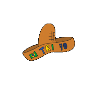 Selecao Brasileira Tricampeao Sticker by Confederação Brasileira de Futebol