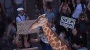 protest climate change global climate strike climate protest GIF