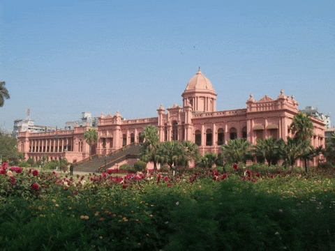 Pink Palace Bangladesh GIF