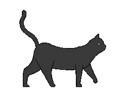 Cat Kitty Sticker by merlin fluegel