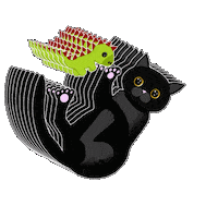 Cat Fun Sticker