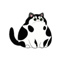 Cat Pet Sticker