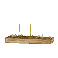 Plant Garden Sticker