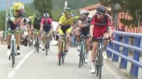 GIF by Sporza