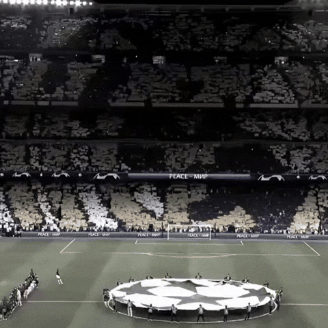 CanaldoJX  GIF