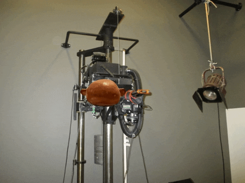 Lab Onf GIF by Alex Boya