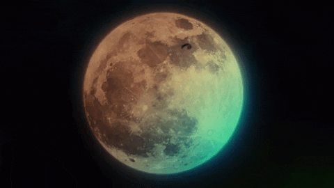 Full Moon Halloween GIF by truTV’s Bobcat Goldthwait’s Misfits & Monsters