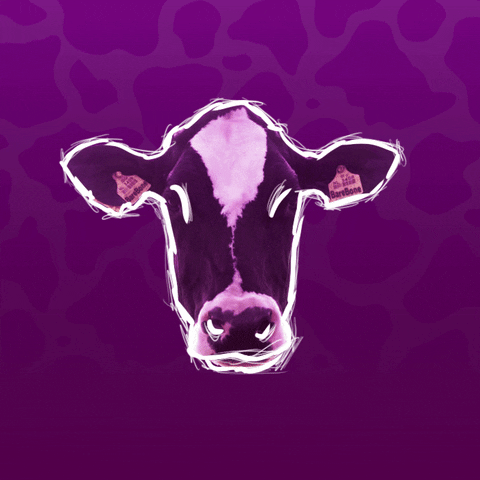 BareBoneMedia giphyupload animation cow dutch GIF