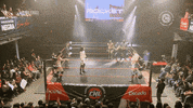 CNLChile  GIF