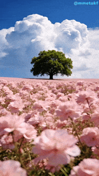 Mmetakf GIF