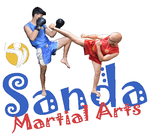 Martial Arts Fighter Sticker by Champion Training Sanda Martial Art