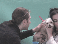Gigi GIF by Young Bombs