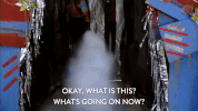 season 5 episode 2 GIF by Workaholics