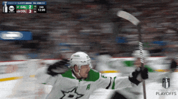 Happy Stanley Cup Playoffs GIF by NHL