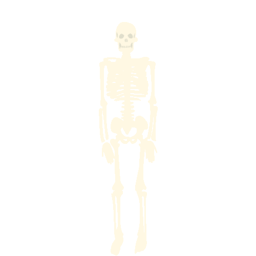 Skeleton Sticker by MCL
