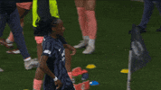 Womens Soccer Celebration GIF by National Women's Soccer League