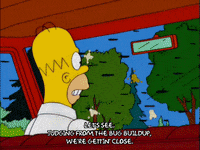 homer simpson GIF