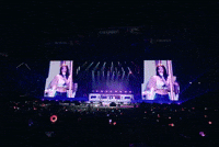 Grand Park Chicago GIF by Respective