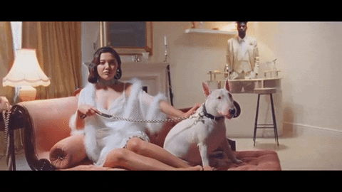 heartbreak diet - salen GIF by Island Records UK