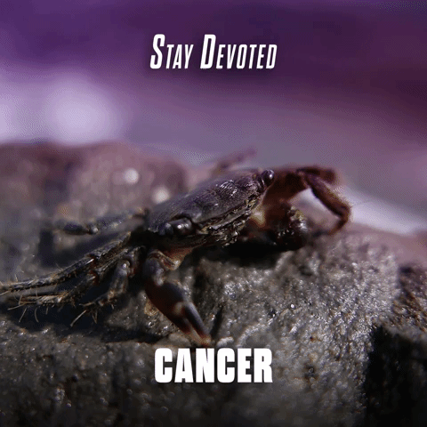 Stay Devoted Cancer
