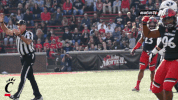 cincinnati bearcats celebration GIF by University of Cincinnati Athletics