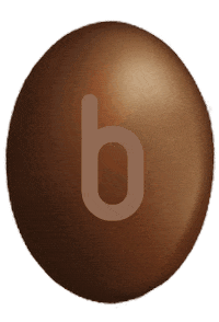 Chocolate B Sticker by conguitos